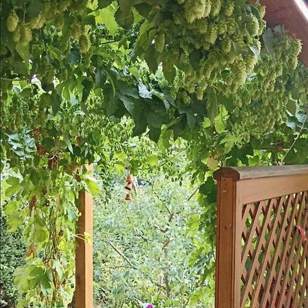Apartment Mit Gartenblick Eckersdorf Екстер'єр фото